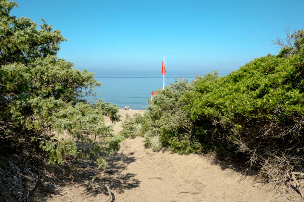 Beach and sand dunes in Rimigliano Nature Reserve, the rich vegetation of mediterranean maquis. The park is in area of San Vincenzo, Livorno province, Tuscany stock photo