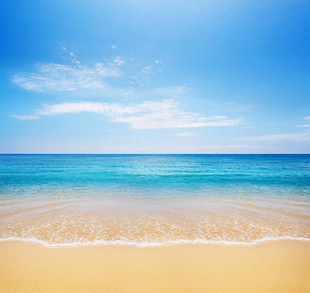 A visit to a sea beach essay