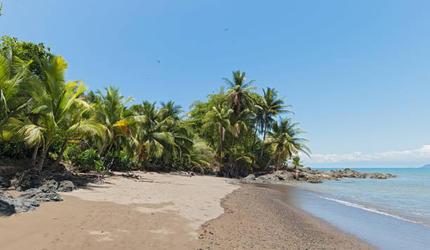 Beach at Drake Bay on the Pacific Ocean in Costa Rica Beautiful beach at Drake Bay on the Pacific Ocean in Costa Rica drake stock pictures, royalty-free photos & images
