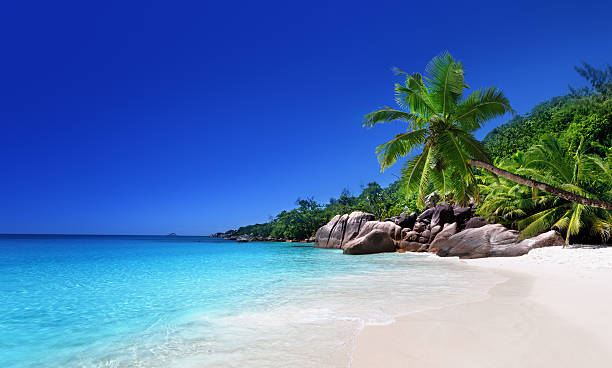 strand auf praslin, seychellen - praslin fotos stock-fotos und bilder