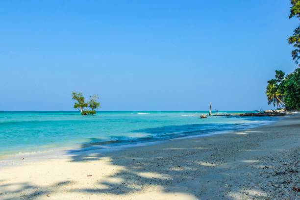 beach at tropical island of Andamans stock photo