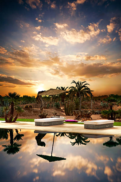 camas de praia com seguinte na piscina - marrakech desert imagens e fotografias de stock