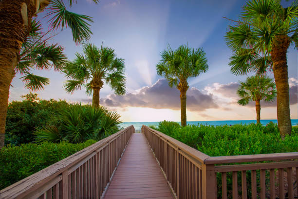 Beach boardwalk-Sunrise- Hilton Head Island-South Carolina stock photo