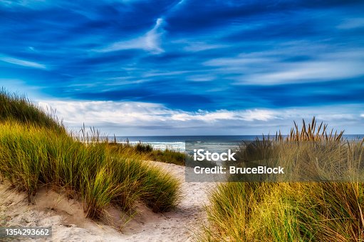 istock Beach, dunes and clouds 1354293662