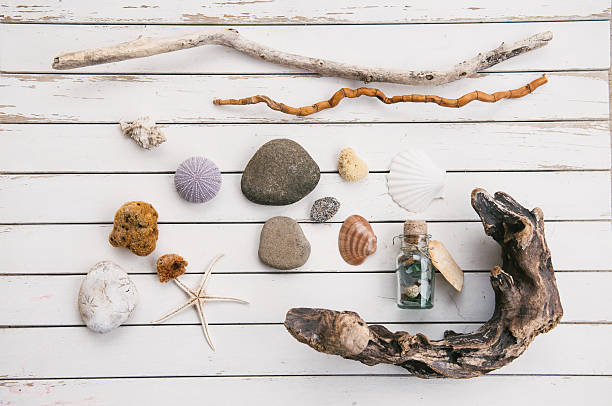 Beach finds stock photo