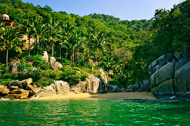 Beach in Mexico Beautiful beach on tropical Pacific coast of Mexico puerto vallarta stock pictures, royalty-free photos & images