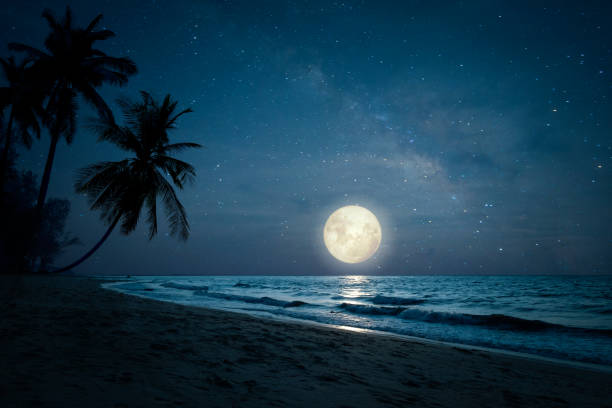 Beach in night skies and full moon Beautiful fantasy of landscape tropical beach with silhouette palm tree in night skies and full moon - dreamlike wonder nature. moonlight stock pictures, royalty-free photos & images