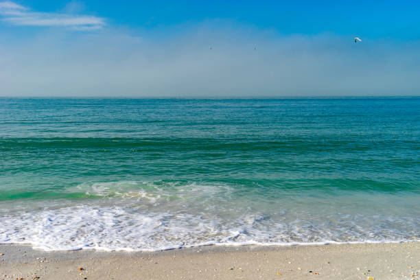 Beach morning  on St. Pete Beach, Gulf of Mexico stock photo