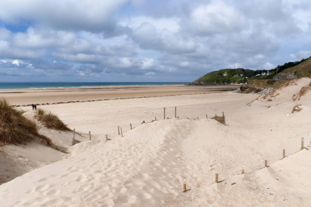 Beach of Barneville- Carteret Restoration and protection of the Barneville- Carteret sand dune in Cotentin coast manche stock pictures, royalty-free photos & images