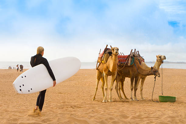 Beach of Essaouira, Morocco, Africa. stock photo