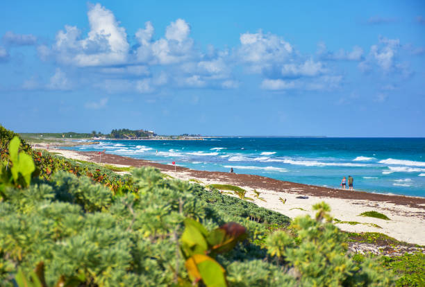 Beach of Punta Morena. Vegetation green and preserved, white sand, transparent waters. Global warming killing seaweed.( Punta Morena ) stock photo