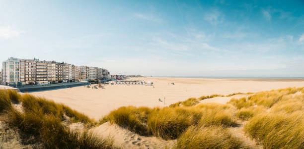 Beach of Zeebrugge, Flanders region, Belgium Beautiful panoramic of Zeebrugge beach with sand dunes and hotel buildings on a scenic sunny day with blue sky, Flanders, Belgium flanders belgium stock pictures, royalty-free photos & images