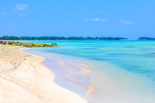 Beach on Tuvalu island stock photo