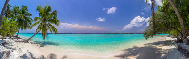 Beach panorama at Maldives with blue sky, palm trees and turquoise water stock photo