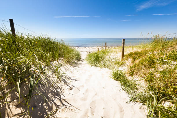 beach "Way to the beach, Baltic Sea, Germany" rügen stock pictures, royalty-free photos & images