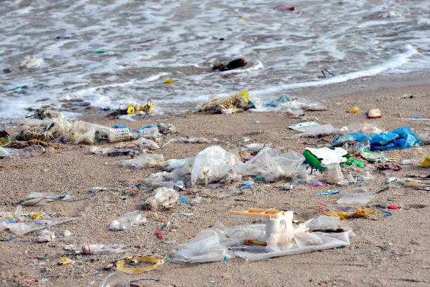 Beach pollution. Plastic bottles and other trash on sea beach stock photo