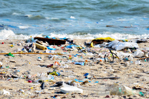 Beach pollution. Plastic bottles and other trash on sea beach stock photo