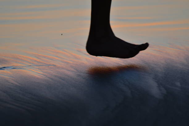 Beach Sand at Sunset With Runners Foot Redondo Beach steven harrie stock pictures, royalty-free photos & images