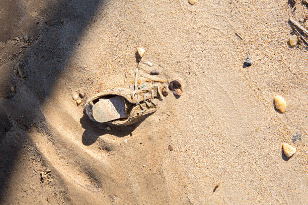 Beach Scene - Old Shoe Buried in Sand stock photo