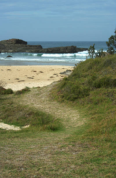 Beach Track stock photo