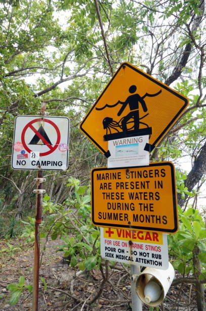 Beach warning signs stock photo