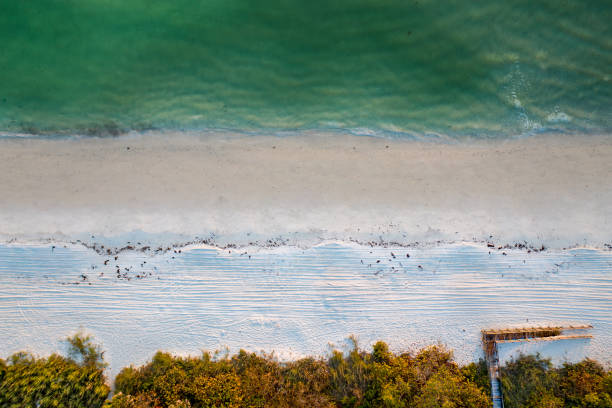 Beachfront at Delnor-wiggins Beach in Naples, Florida Aerial Views of Delnor-wiggins State Park Beach in Naples, Florida naples florida beach stock pictures, royalty-free photos & images