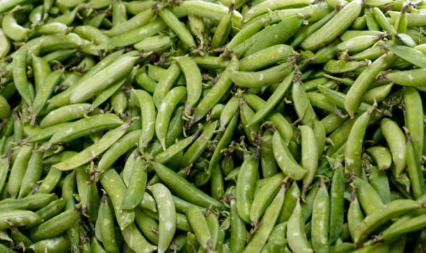 Beans at the local market stock photo