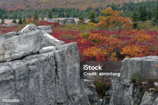 istock Bear Rocks of Dolly Sods Wilderness 175242055