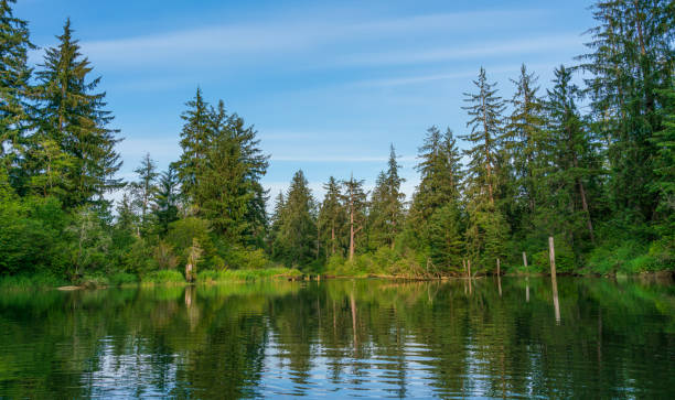 Beautiful and Historice Chehalis River Kayak Trip Montesano, Washington State stock photo
