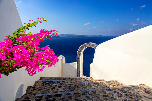 Beautiful arch to the luxury hotel with bougainvillea flower in Oia, Santorini, Greece. Iconic image of vacation in Greece.