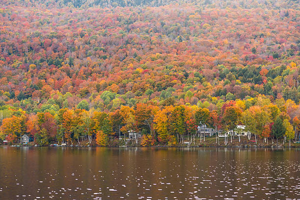 Beautiful autumn foliage and cabins in Elmore state park, Vermont Beautiful autumn foliage and cabins in Elmore state park, Vermont. elmore stock pictures, royalty-free photos & images