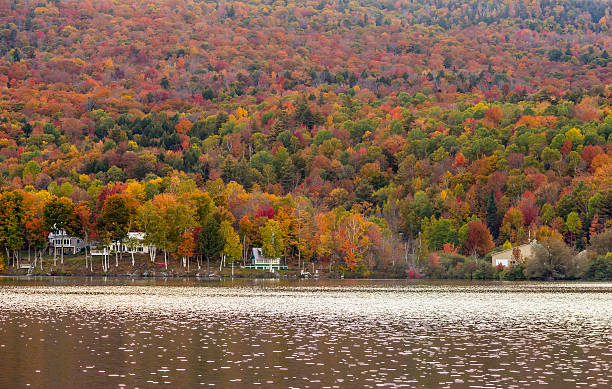 Beautiful autumn foliage and cabins in Elmore state park, Vermont Beautiful autumn foliage and cabins in Elmore state park, Vermont. elmore stock pictures, royalty-free photos & images