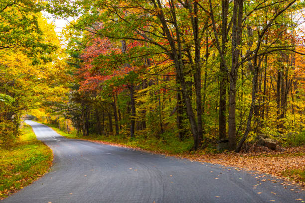 Beautiful Autumn scenic empty road and leaves in the fall stock photo