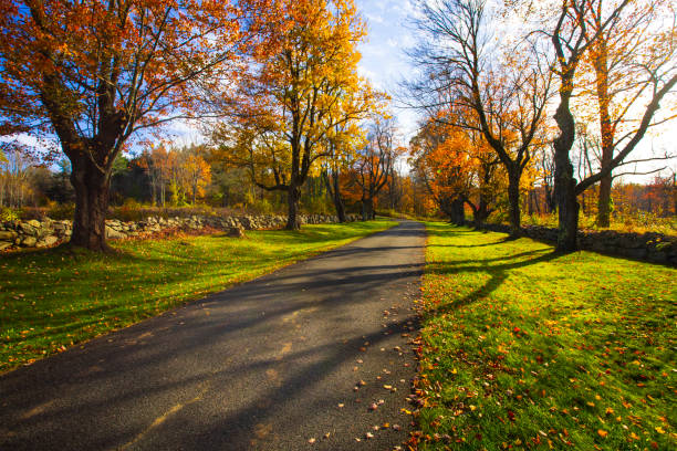 Beautiful Autumn scenic empty road and leaves in the fall stock photo