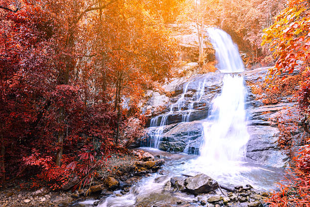 Beautiful autumn waterfall in rainforest with sunlight. stock photo