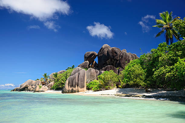 einem schönen strand auf den seychellen - praslin fotos stock-fotos und bilder