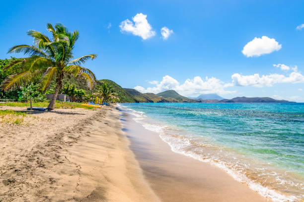 Beautiful beach with palm tree, St Kitts White sandy beach with palm tree and blue sky with white clouds in Saint Kitts, Caribbean. caribbean sea stock pictures, royalty-free photos & images