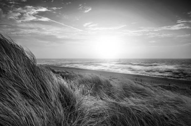 Beautiful black and white sunrise landscape image of sand dunes system over beach with wooden boardwalk stock photo