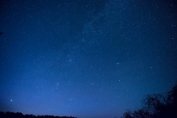 Beautiful blue night sky with many stars Beautiful blue night sky with many stars above the forest. Milkway space background twilight stock pictures, royalty-free photos & images