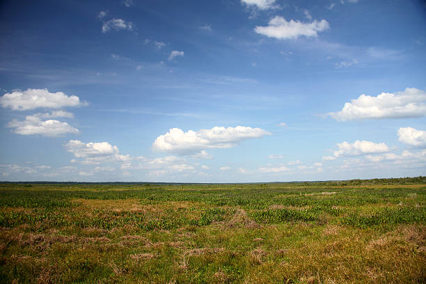 Beautiful Blue Sky with clouds green land on the horizon stock photo