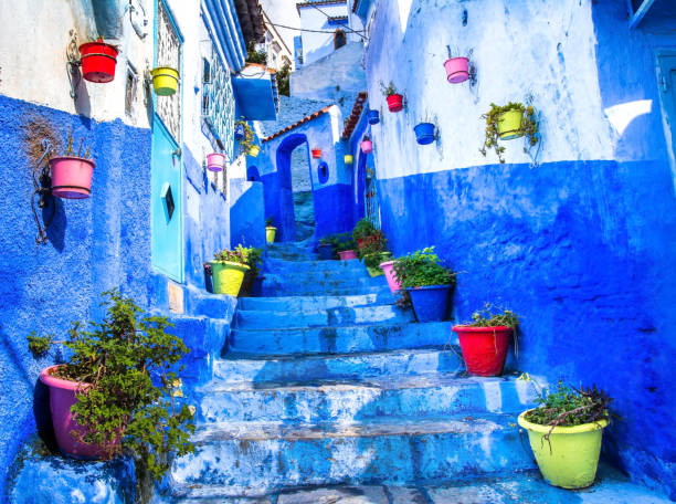 Beautiful blue walls with bright doors and colorful flower pots on the walls on a sunny day, Chefchaouen city medina in Morocco Beautiful blue walls with bright doors and colorful flower pots on the walls on a sunny day, Chefchaouen city medina in Morocco medina district stock pictures, royalty-free photos & images
