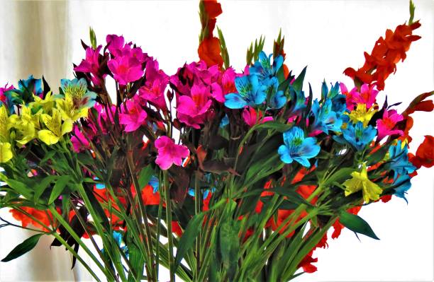 Beautiful Bouquet of Alstroemeria flowers (Peruvian lily or Lily of the Incas). stock photo