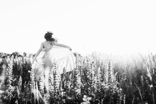 una bella sposa in abito da sposa che balla da sola nel campo dei fiori di lupino al tramonto. vista dal retro - fotografia immagine foto e immagini stock