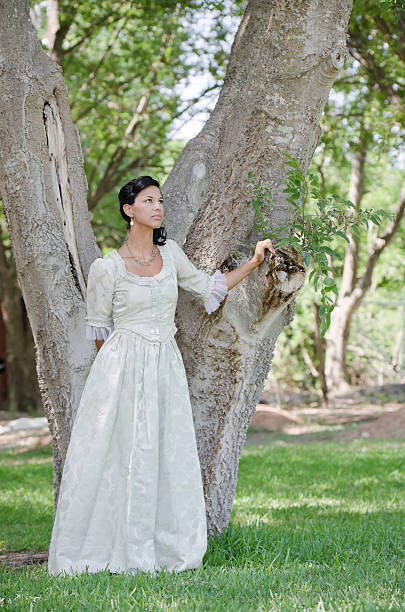 Beautiful Bride Beautiful bride looking away. victorian gown stock pictures, royalty-free photos & images