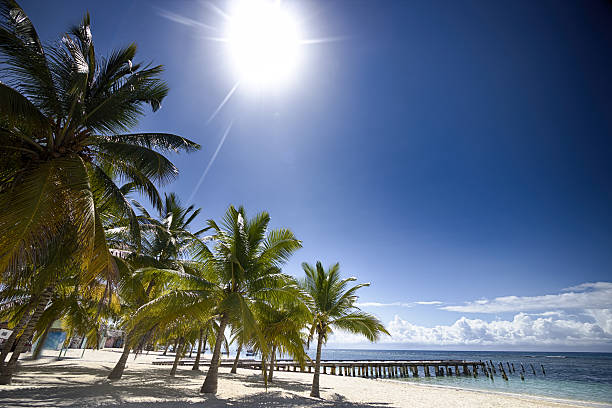 Beautiful caribbean beach stock photo