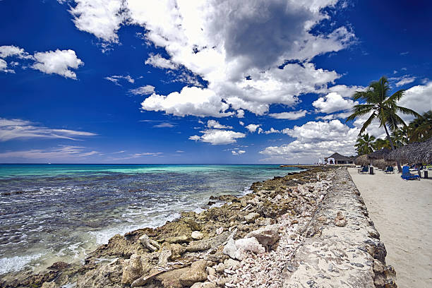Beautiful caribbean Beach stock photo