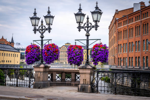 beautiful cityscape view of purple flowers in flowerpot hanging from vintage lampposts with industrial buildings. - summer stockholm bildbanksfoton och bilder