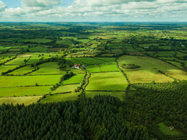 Beautiful countryside in Roscommon, Ireland. stock photo