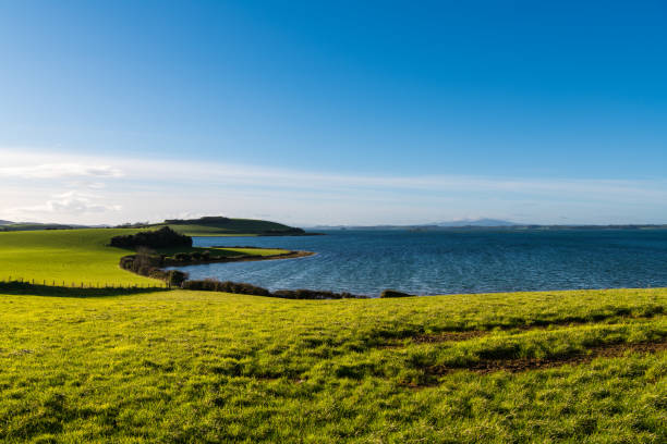 Beautiful curving shoreline of lush green, grassy fields under a sunny blue sky along Strangford Lough in Northern Ireland Green, grassy coastline of Strangford Lough, County Down, Northern Ireland strangford lough stock pictures, royalty-free photos & images