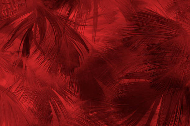 mooie donkere rode kastanjebruine veerpatroontextuurachtergrond - peacock back stockfoto's en -beelden